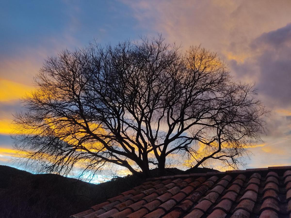 El Vilarot. La Casa De Piedra En La Naturaleza. Girona Exteriér fotografie